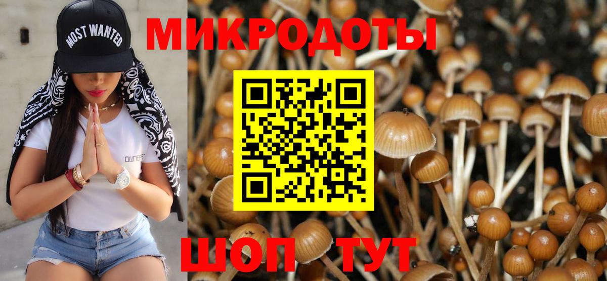 Бирск  Галлюциногенные грибы Cubensis  Вход с VPN 